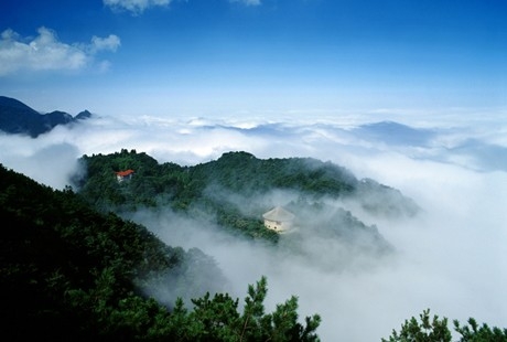 南昌到廬山1日游天天發團，經典純玩，還原純凈旅游，美廬別墅+會址+花徑+錦繡谷+三寶樹